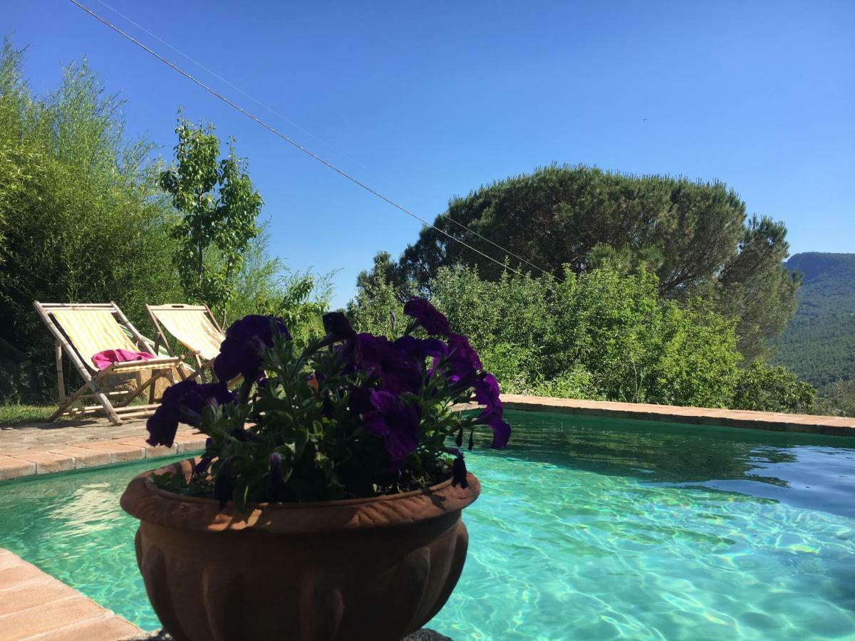 Podere Di Maggio - Glamping Tent 3 Santa Fiora Exterior foto